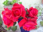 Chef  en Recetas Nuestras